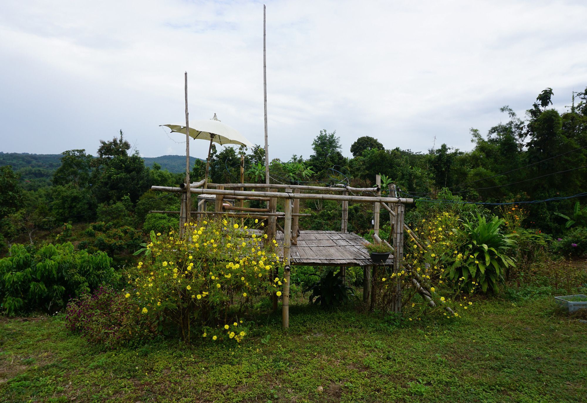 Baan 2 Dao Farmstay - Hostel Chiang Dao Exterior photo