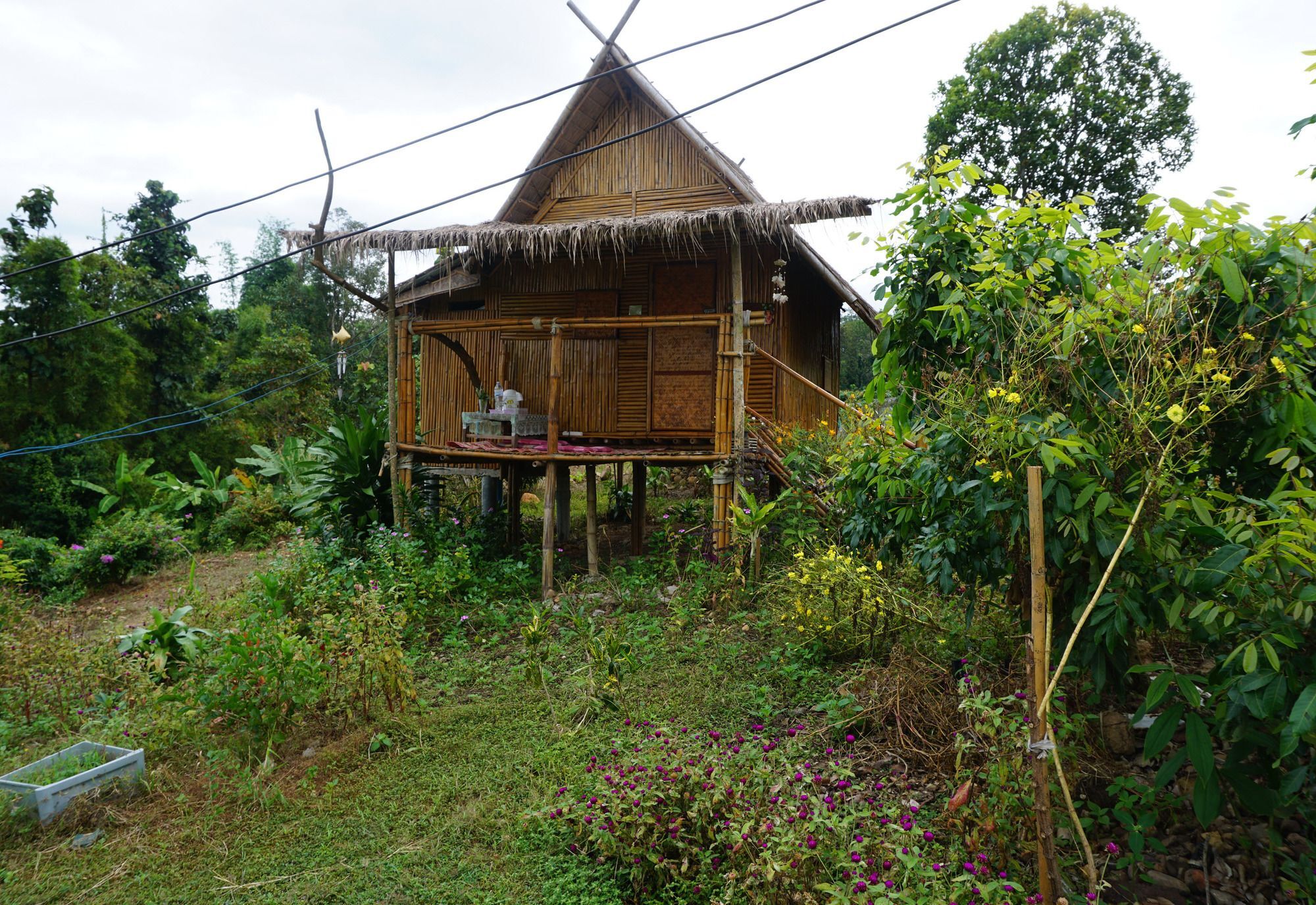 Baan 2 Dao Farmstay - Hostel Chiang Dao Exterior photo