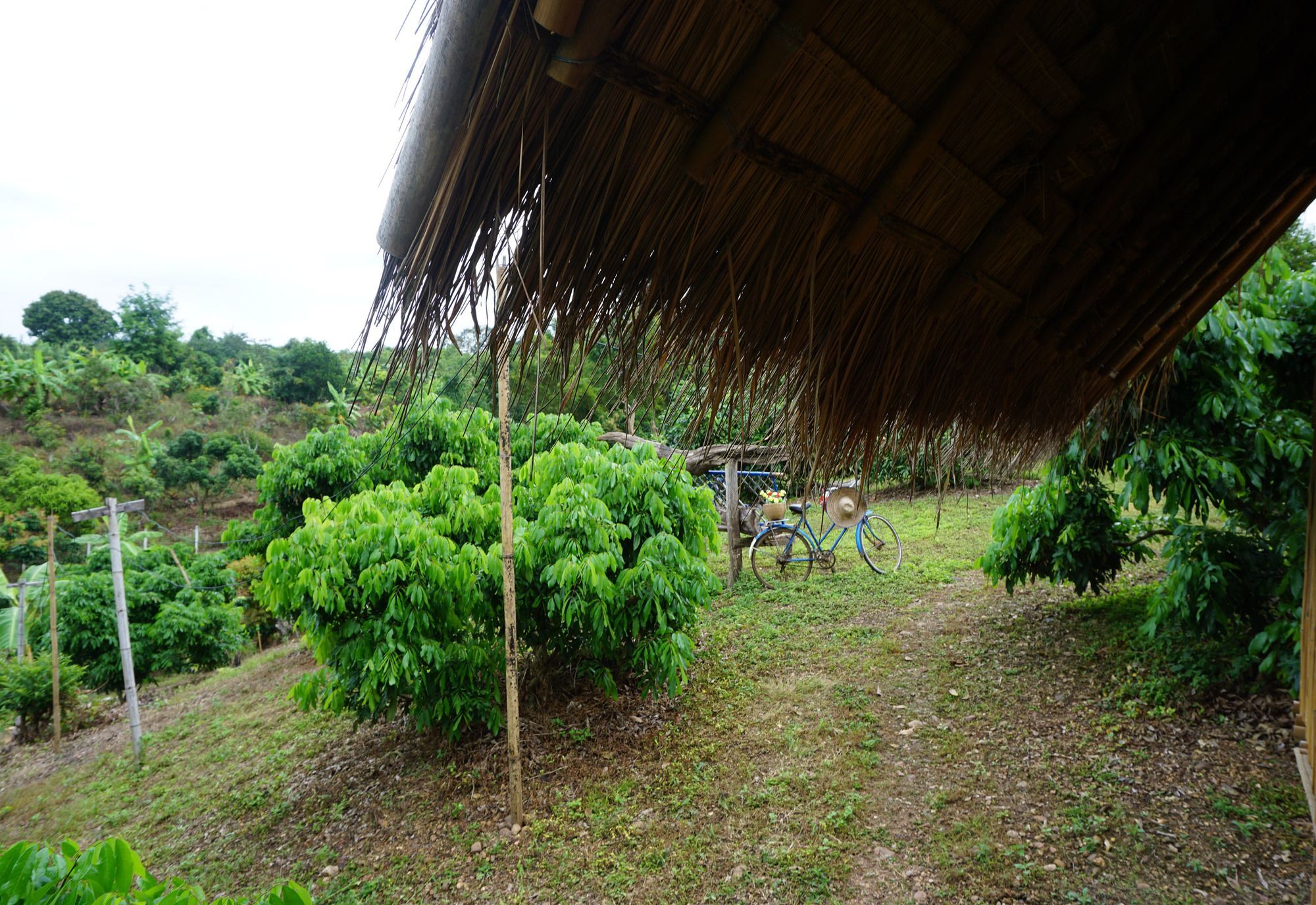 Baan 2 Dao Farmstay - Hostel Chiang Dao Exterior photo